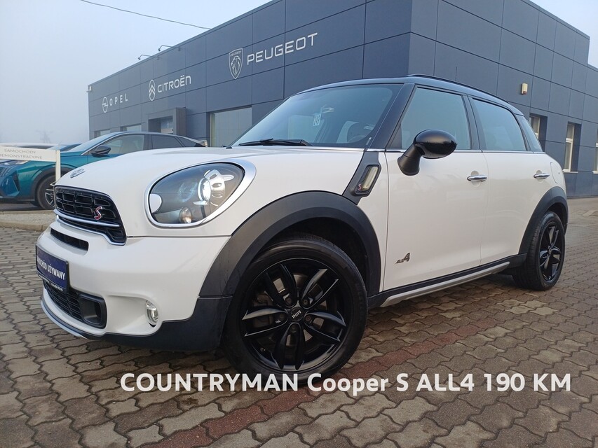 Mini Countryman